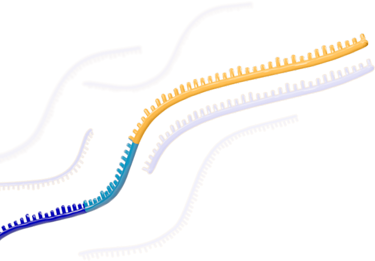 A strand of srRNA floats upwards to the right. Behind it, copied mRNA segments are visible.