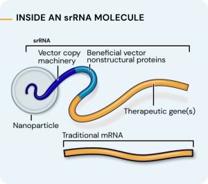 Our Science | Replicate Bioscience