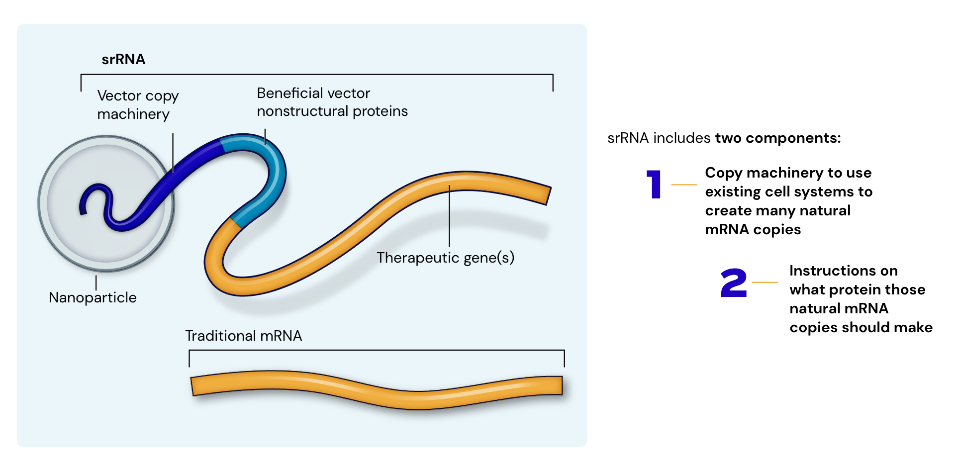 Overcoming The Limitations Of Mrna Replicate