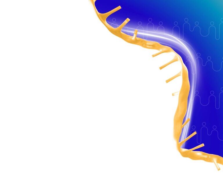 Home Replicate Bioscience