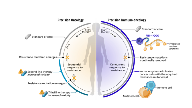 A scientific illustration comparing precision oncology to Replicate’s PIO approach. In the center of a circle is a silhouette of a patient. Starting at the top of the circle and moving counterclockwise is a grey arch labeled with a standard of care pill. A quarter down the circle a DNA mutation appears. The grey arch turns teal with a new pill and toxicity warning icon for a second line therapy. A third mutation icon appears accompanied by a darker teal arch, a third line pill, and additional toxicity icon. This arch ends at the patient’s feet. On the right, the grey standard of care arch labeled with a pill is paralleled with a blue arch labeled RBI-1000. A quarter clockwise down, a DNA mutation icon appears, but no new therapies are introduced. An illustration to the right show an srRNA-trained immune cell attacking a mutated cancer cell. The two arches end at the patient’s feet.